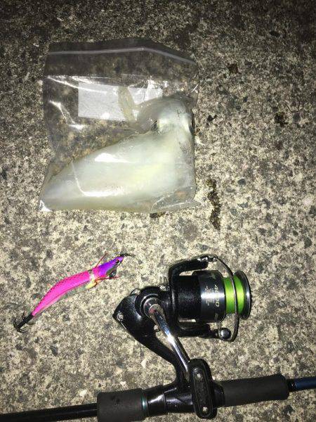 昨日のリベンジに