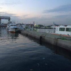 リベンジのアジング