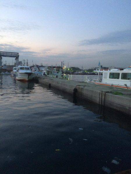 リベンジのアジング