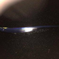 シーバス狙いが