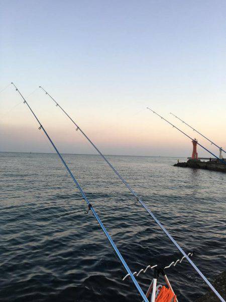 カレイ狙いその4