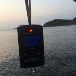 アジングからヤエン釣り！