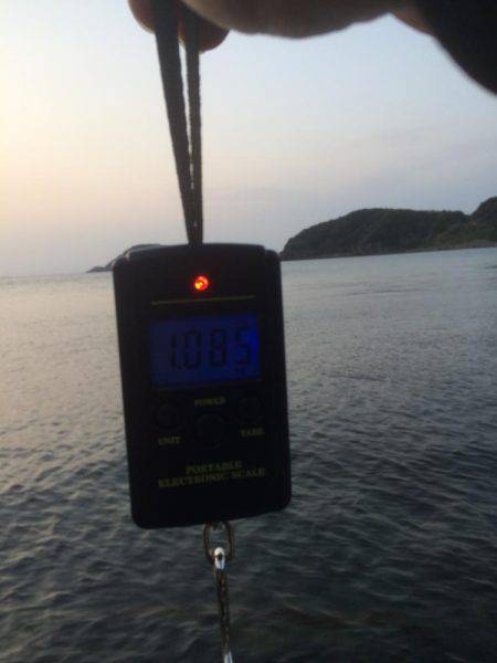 アジングからヤエン釣り！