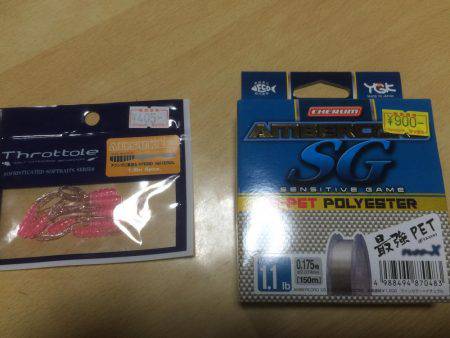 久しぶりに入れ食い