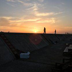 自作フラップリグ