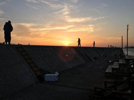 自作フラップリグ