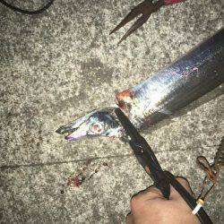 タッチーおるかなぁ