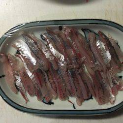 鳴尾浜で半夜釣り