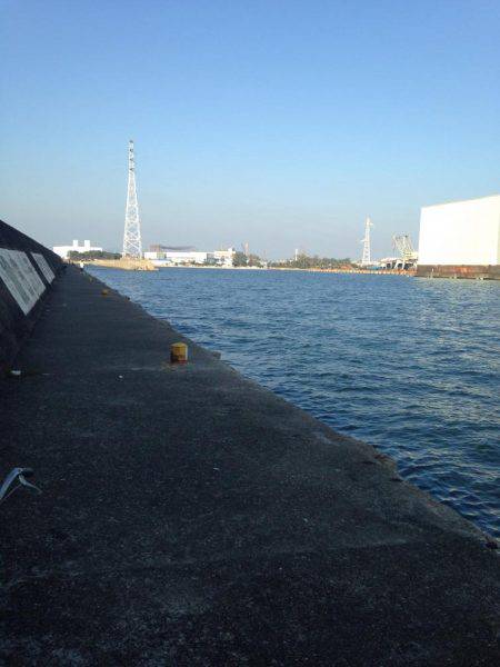 加古川タチウオ調査