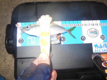 ちょこっとアジング