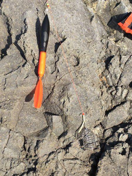 カゴ釣り in 今子浦