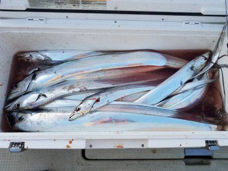 遊漁船　ニライカナイ 釣果