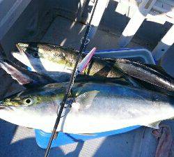 IDATEN（イダテン） 釣果