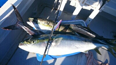 IDATEN（イダテン） 釣果