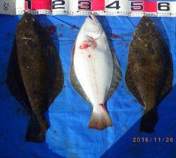 石川丸 釣果