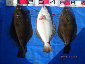 石川丸 釣果