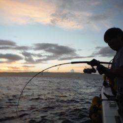 オーシャンパイオニア 釣果