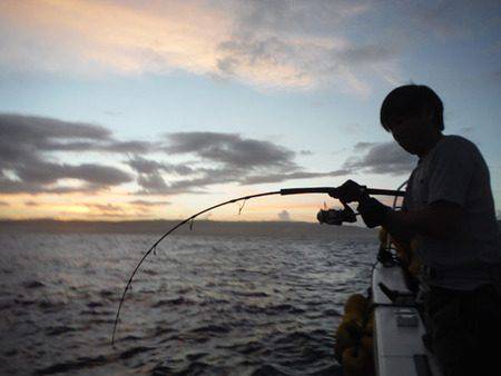 オーシャンパイオニア 釣果