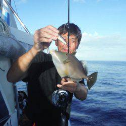 オーシャンパイオニア 釣果