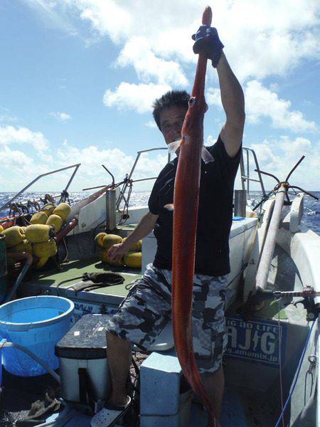 オーシャンパイオニア 釣果