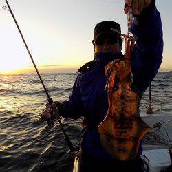 フィッシングボート空風(そらかぜ) 釣果