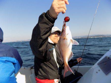 フィッシングボート空風(そらかぜ) 釣果