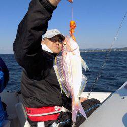 フィッシングボート空風(そらかぜ) 釣果