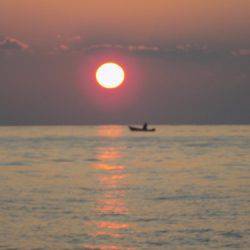 フィッシングボート空風(そらかぜ) 釣果