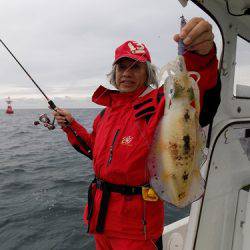 フィッシングボート空風(そらかぜ) 釣果