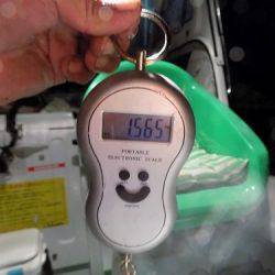 フィッシングボート空風(そらかぜ) 釣果