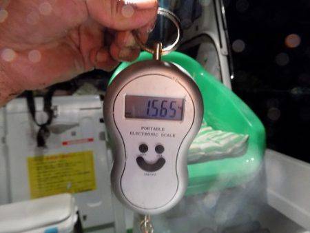 フィッシングボート空風(そらかぜ) 釣果