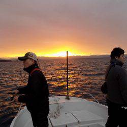 フィッシングボート空風(そらかぜ) 釣果