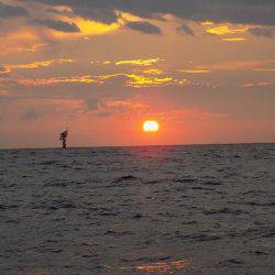 フィッシングボート空風(そらかぜ) 釣果