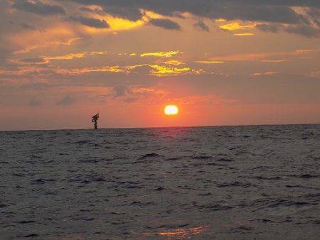 フィッシングボート空風(そらかぜ) 釣果
