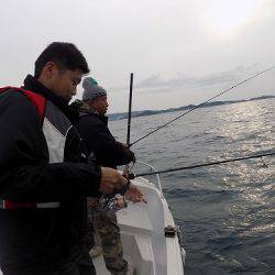 フィッシングボート空風（そらかぜ） 釣果