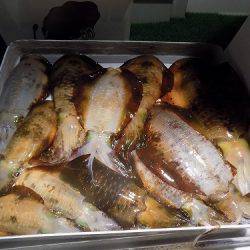 フィッシングボート空風（そらかぜ） 釣果