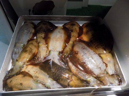 フィッシングボート空風（そらかぜ） 釣果