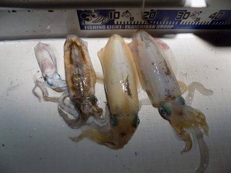 フィッシングボート空風（そらかぜ） 釣果