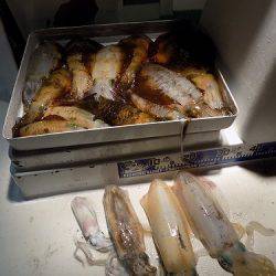 フィッシングボート空風（そらかぜ） 釣果