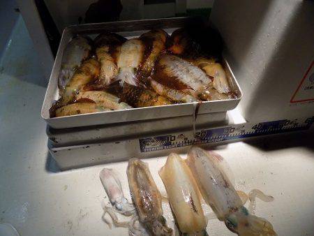 フィッシングボート空風（そらかぜ） 釣果