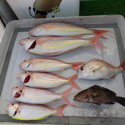 フィッシングボート空風（そらかぜ） 釣果