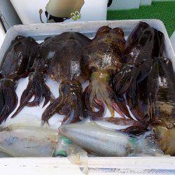 フィッシングボート空風(そらかぜ) 釣果