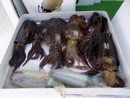 フィッシングボート空風(そらかぜ) 釣果