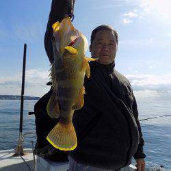フィッシングボート空風(そらかぜ) 釣果
