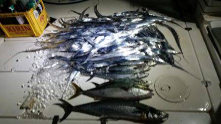 暁〜akatsuki〜 釣果