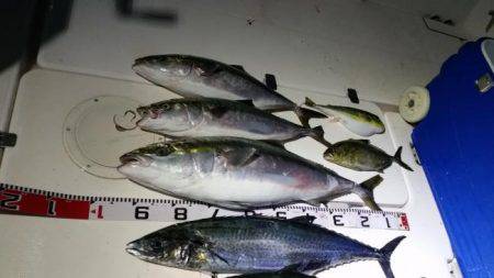 暁〜akatsuki〜 釣果