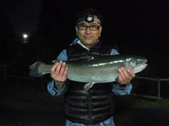 すそのフィッシングパーク 釣果