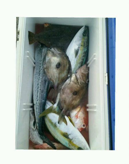 神海丸 釣果
