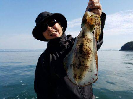 Magic（マジック） 釣果