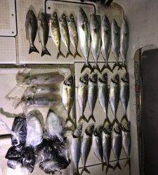 さぶろう丸 釣果